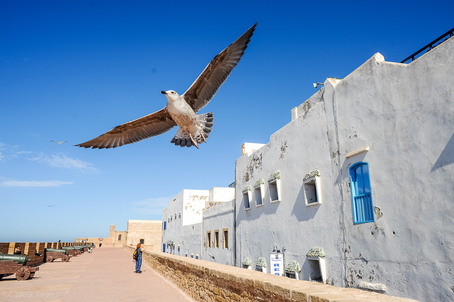 Essaouira (Essawira) – Maroko